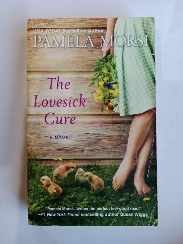 The Lovesick Cure by Pamela Morsi