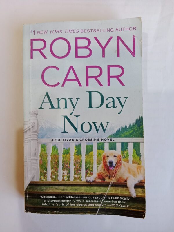 Any Day Now by Robyn Carr