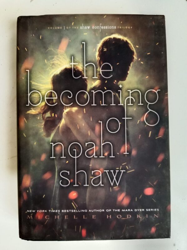 The Becoming of Noah Shaw by Michelle Hodkin