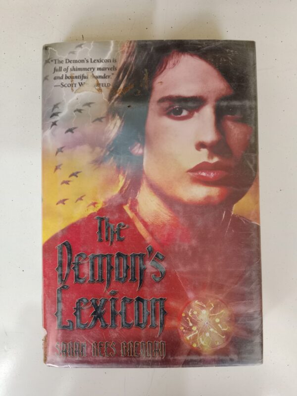 The Demon’s Lexicon by Sarah Rees Brennan