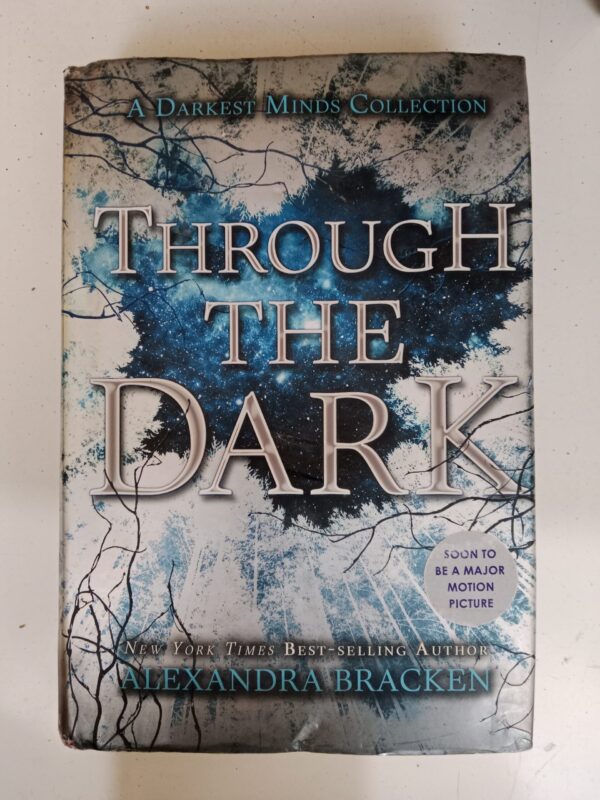 Through the Dark by Alexandra Bracken
