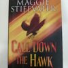 Call Down the Hawk by Maggie Stiefvater