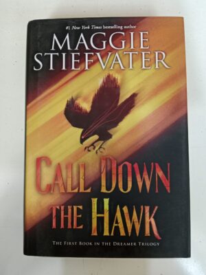 Call Down the Hawk by Maggie Stiefvater