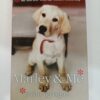Marley & Me by John Grogan