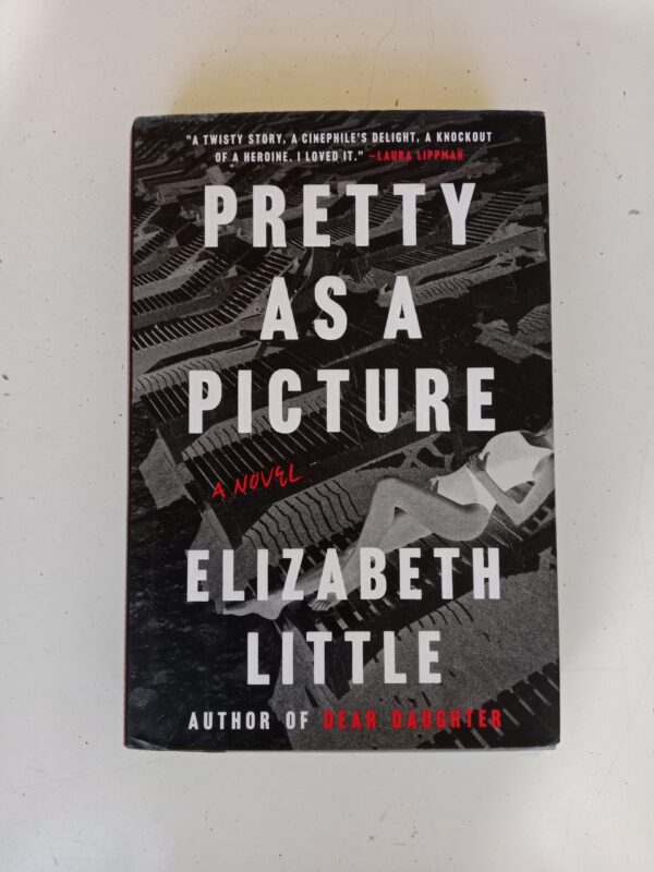 Pretty as a Picture by Elizabeth Little