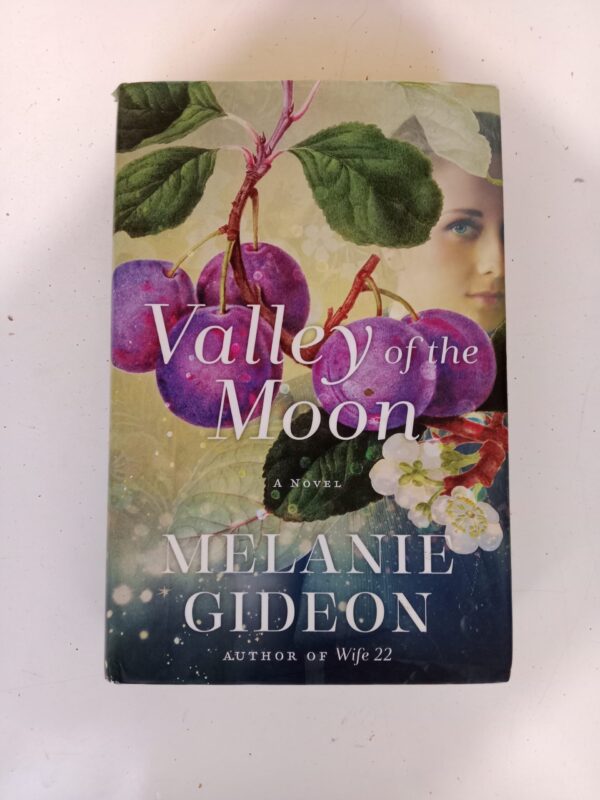 Valley of the Moon by Melanie Gideon