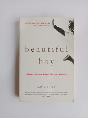 Beautiful Boy: A Father’s Journey Through His Son’s Addiction by David Sheff