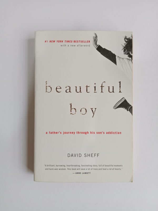Beautiful Boy: A Father’s Journey Through His Son’s Addiction by David Sheff